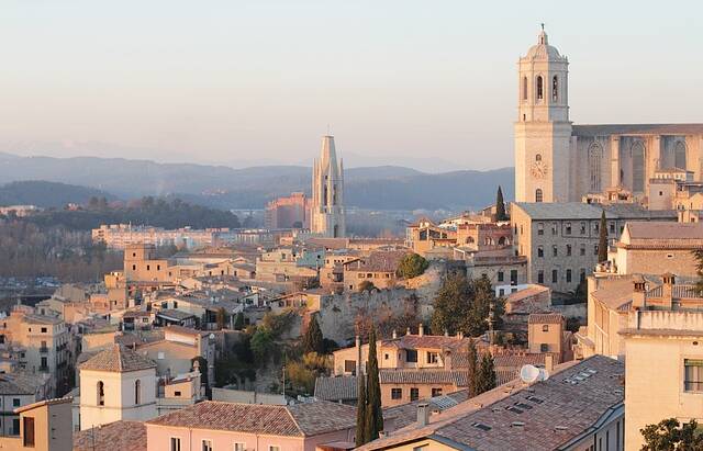 Control de plagas en Girona